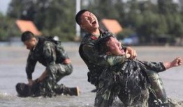美国特种兵爆料视频下载,实战经历与生存技巧曝光
