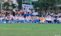 爆料第一赛场视频大全集,视频大全集精彩瞬间回顾